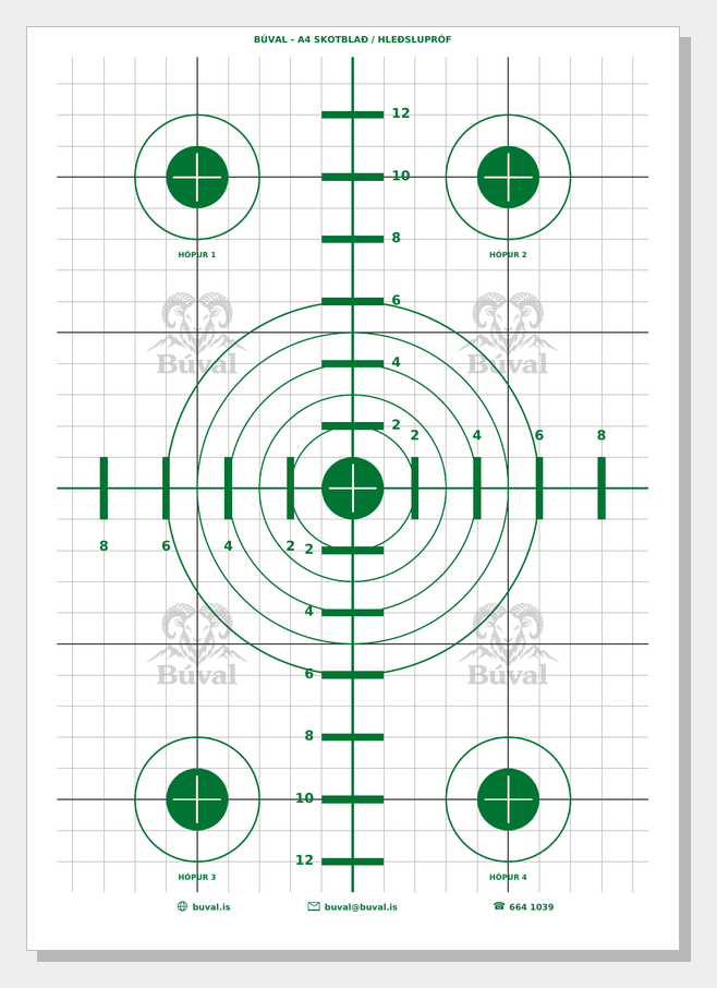Skotblað A4, hringir, grænt – printable shooting target