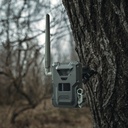 680627_E1.jpg