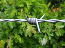 Tornado  Titan Barb Wire 200m