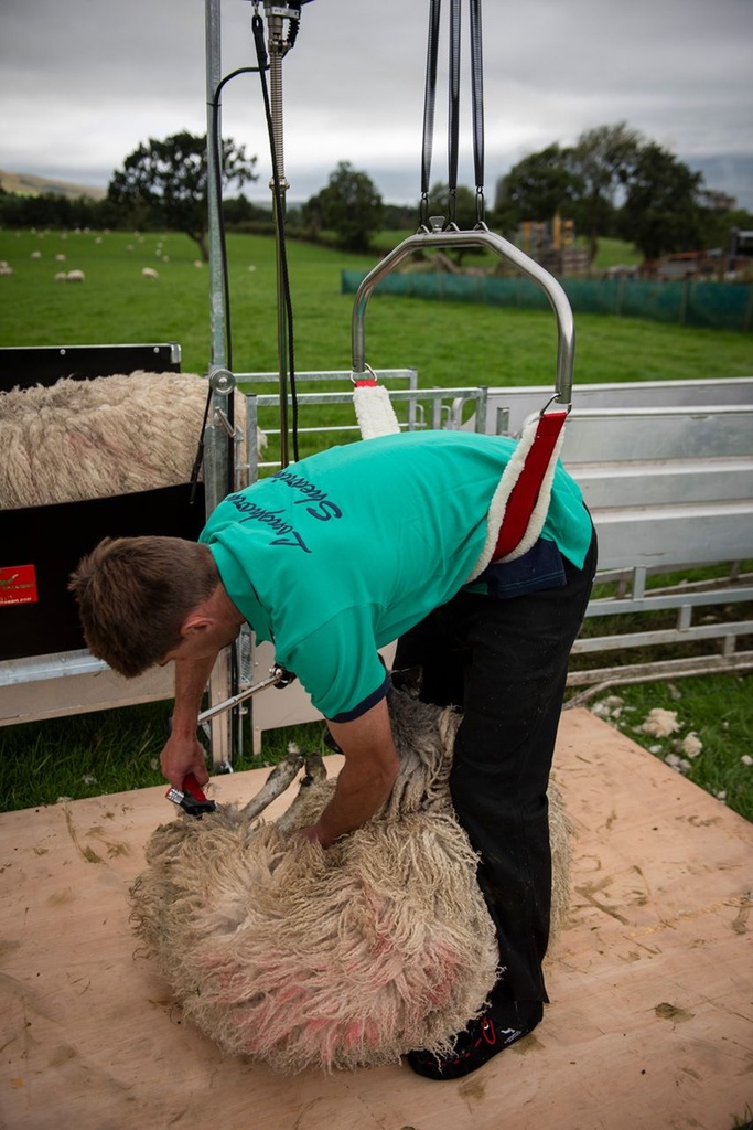 Longhorn® Back-Eze - Shearing Type