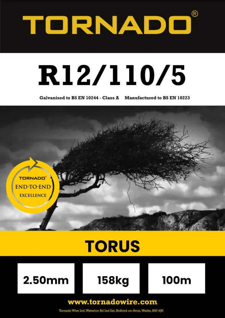 [RZST121103] Torus R12/110/5